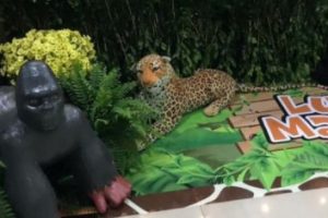 Safari-0 Safari-0